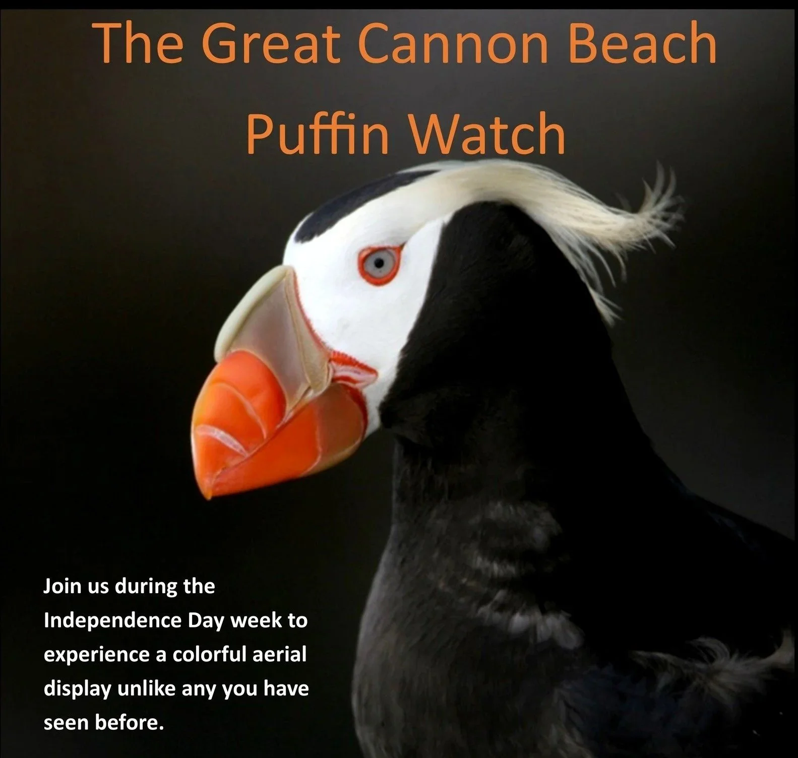 The Great Puffin Watch — Haystack Rock Awareness Program
